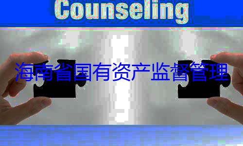 海南省国有理委员会党有福接受审资产监督管委副书记王查调查